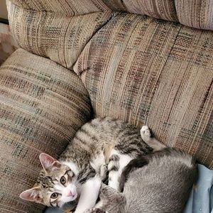 Meet your Posher, Joanne